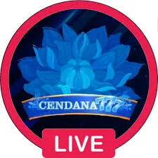 CENDANA777 - Game QiuQiu Terbaik untuk Para Pecinta Judi Online